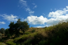 2015-09-24 14.55.59