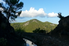 2015-09-24 17.21.41