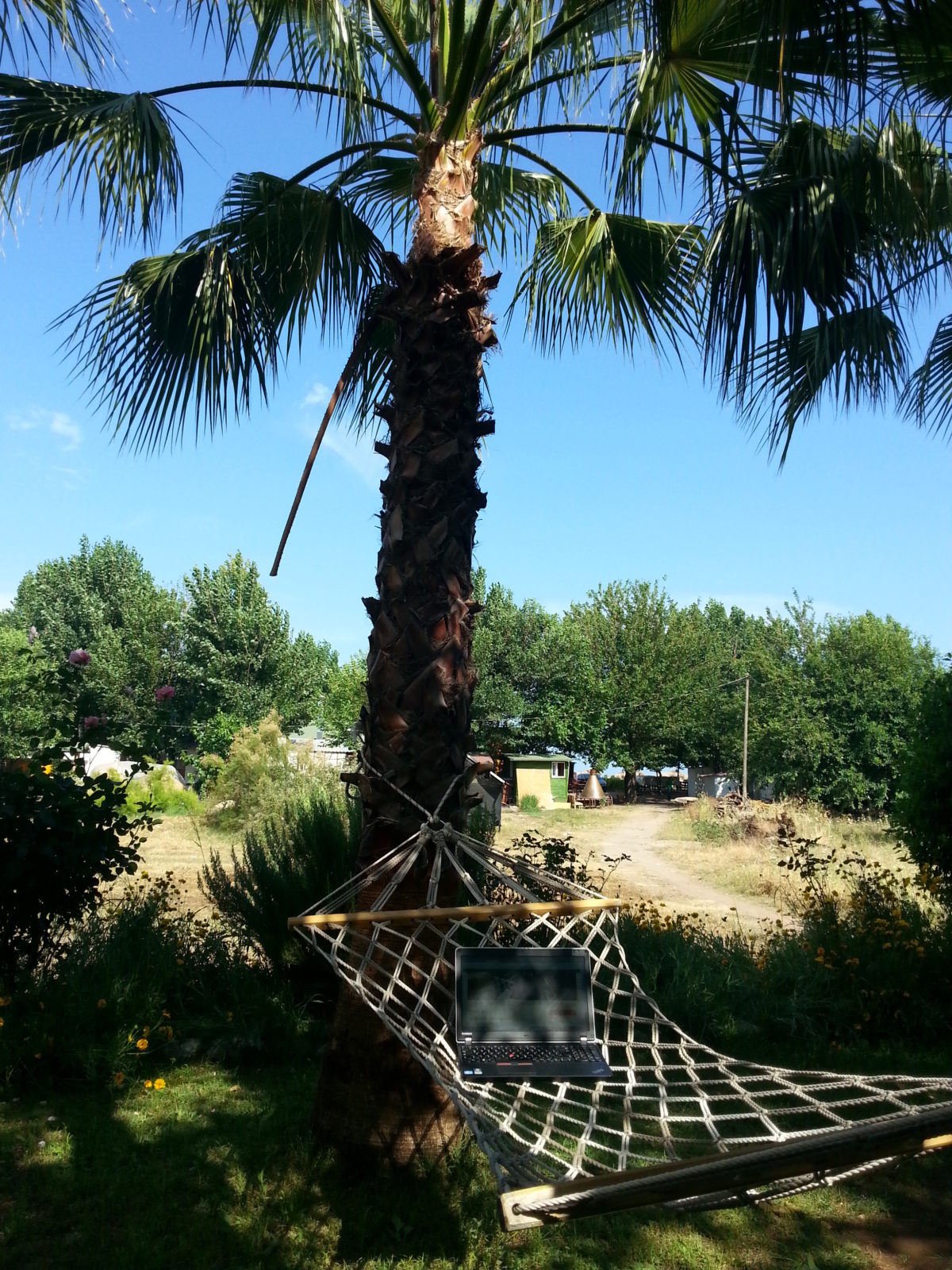 Über die OAZE OAZE OnlineAkademie